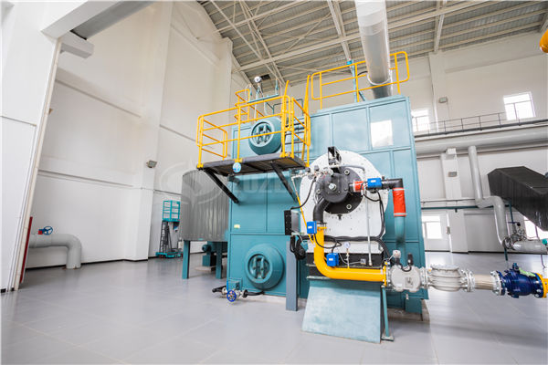 生物質(zhì)鍋爐的種類