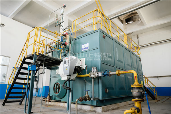 一噸的燃?xì)庹羝仩t配合洗滌設(shè)備用