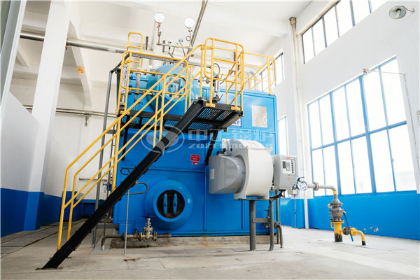 武漢勝?gòu)?qiáng)鍋爐