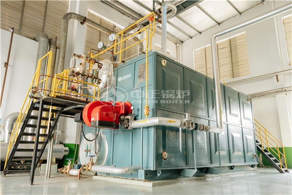 30噸沼氣鍋爐