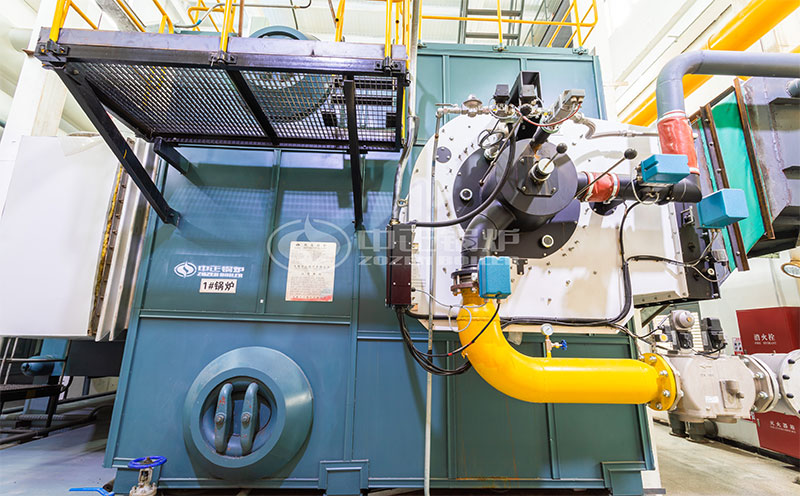 20噸燃煤蒸汽鍋爐參數(shù)客戶案例圖片