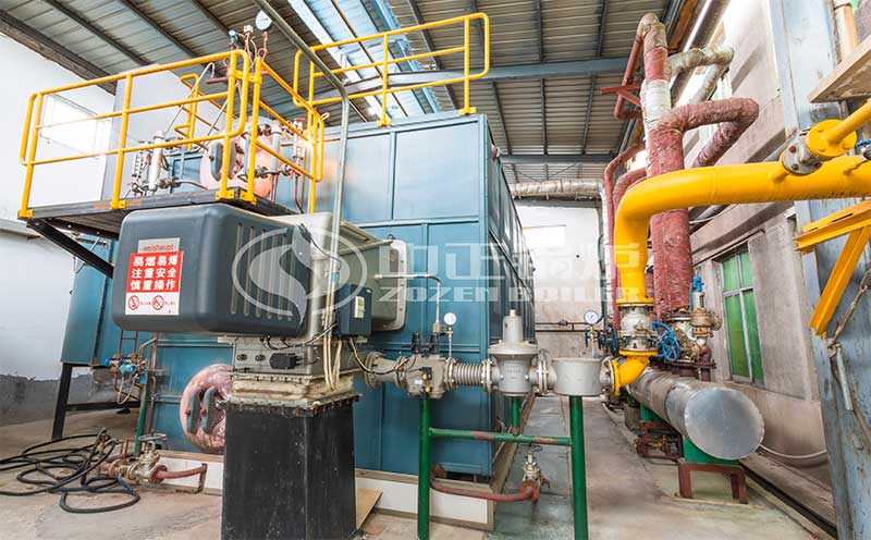 4噸燃?xì)忮仩t多少錢一臺(tái)客戶案例圖片