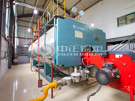 6噸、4噸WNS冷凝式燃?xì)庹羝仩t