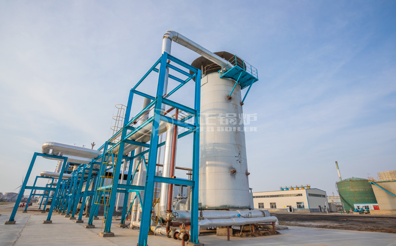 25噸鍋爐額定參數(shù)客戶案例圖片