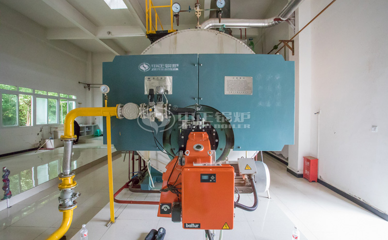 2噸的生物質(zhì)鍋爐多少錢客戶案例圖片