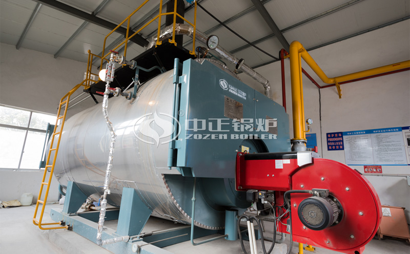 25噸蒸汽鍋爐,價格客戶案例圖片