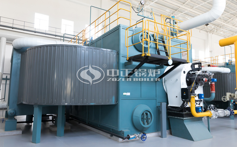 4噸燃?xì)忮仩t多少錢一臺(tái)客戶案例圖片