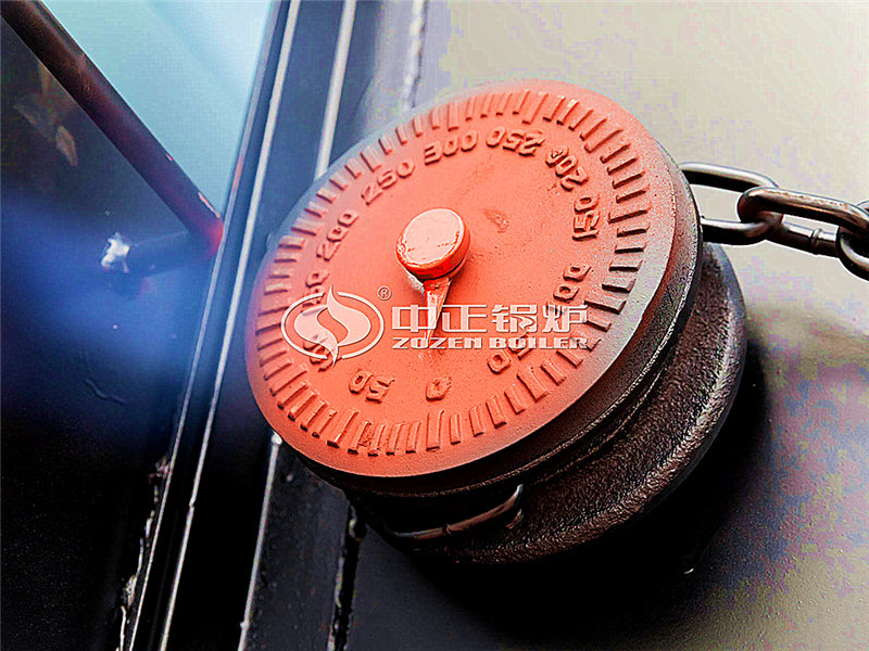 8噸天然氣蒸汽鍋爐需要多少錢(qián)