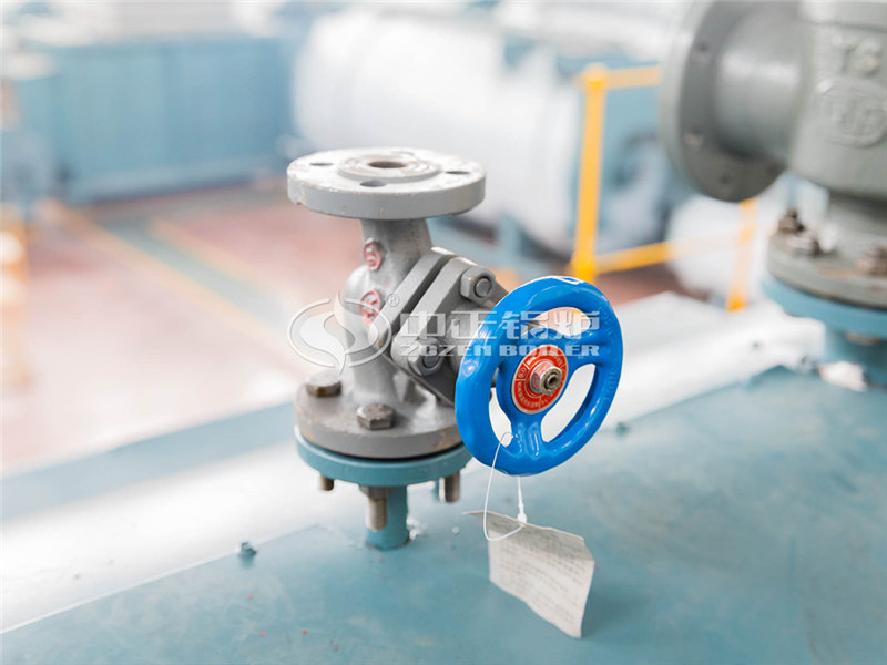 6T天然氣蒸汽鍋爐多少錢(qián)一臺(tái)