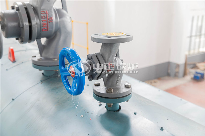 十噸燃?xì)庹羝仩t廠(chǎng)家