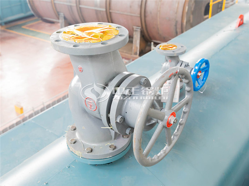 兩噸燃?xì)庹羝仩t制造商