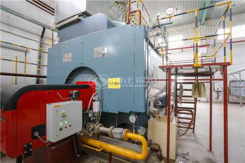 一臺二十噸天然氣熱水鍋爐價(jià)格貴嗎