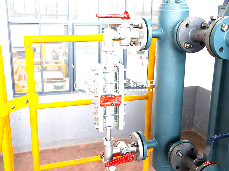 一臺(tái)一百噸燃?xì)鉄崴仩t多貴